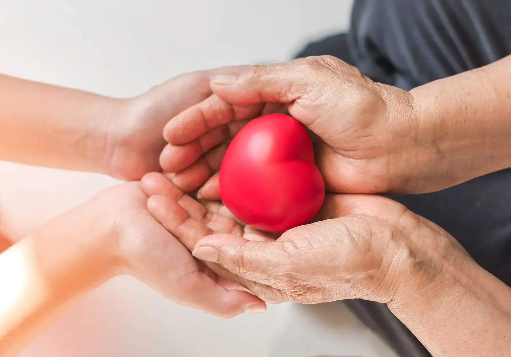 Hands holding a red heart together.